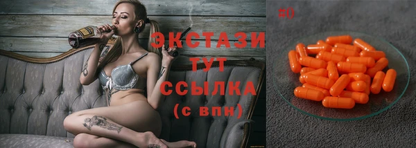 мет Алексин