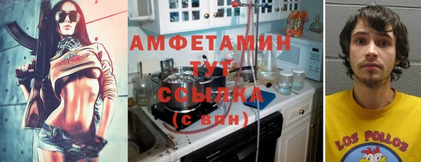 мет Алексин