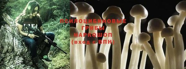 прущие грибы Алексеевка