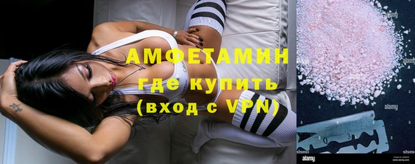 мет Алексин