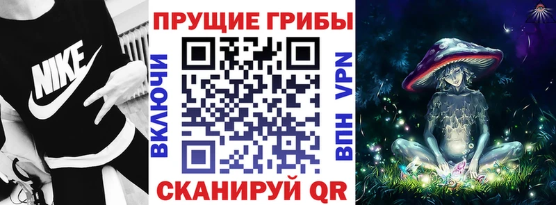 Галлюциногенные грибы Psilocybe  blacksprut ТОР  Кукмор 